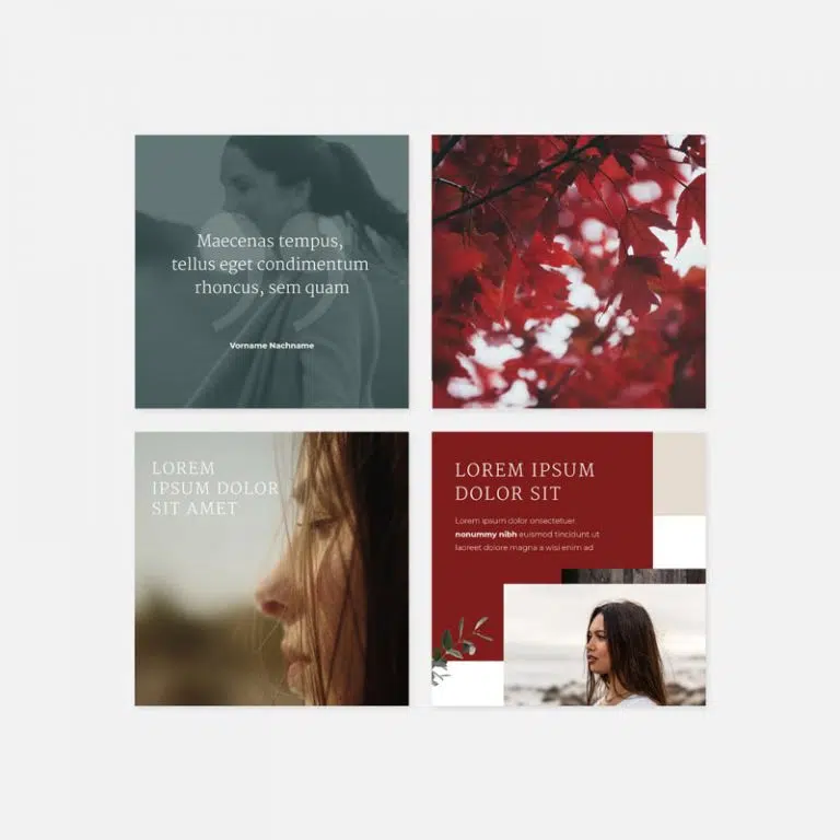 feeds-on-instagram3