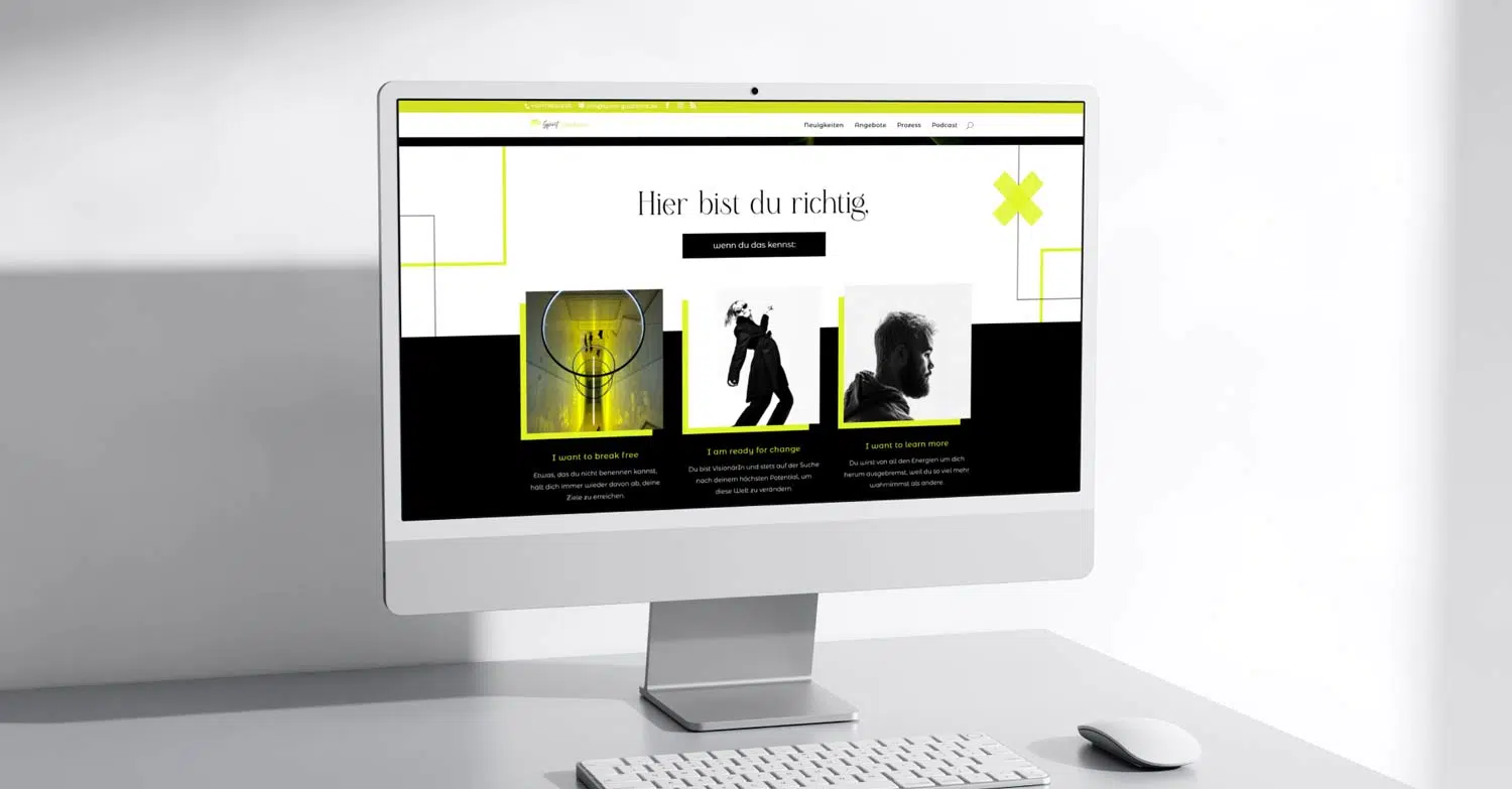 layout-website-6