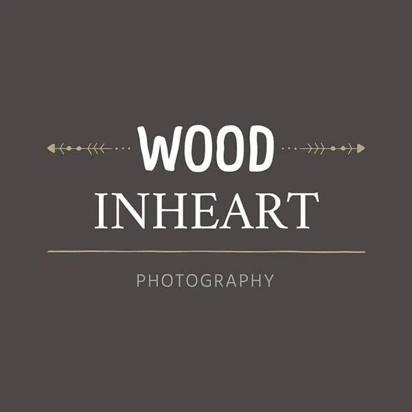 logo-entwicklung-2