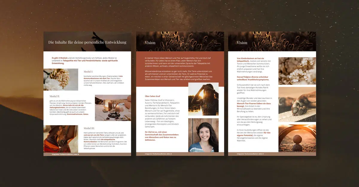 online-designer-2