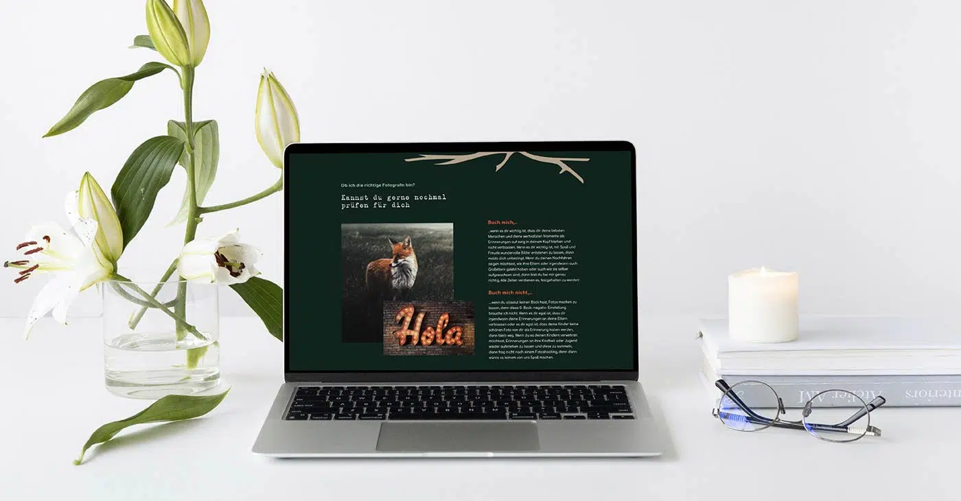 webdesign-programm-25