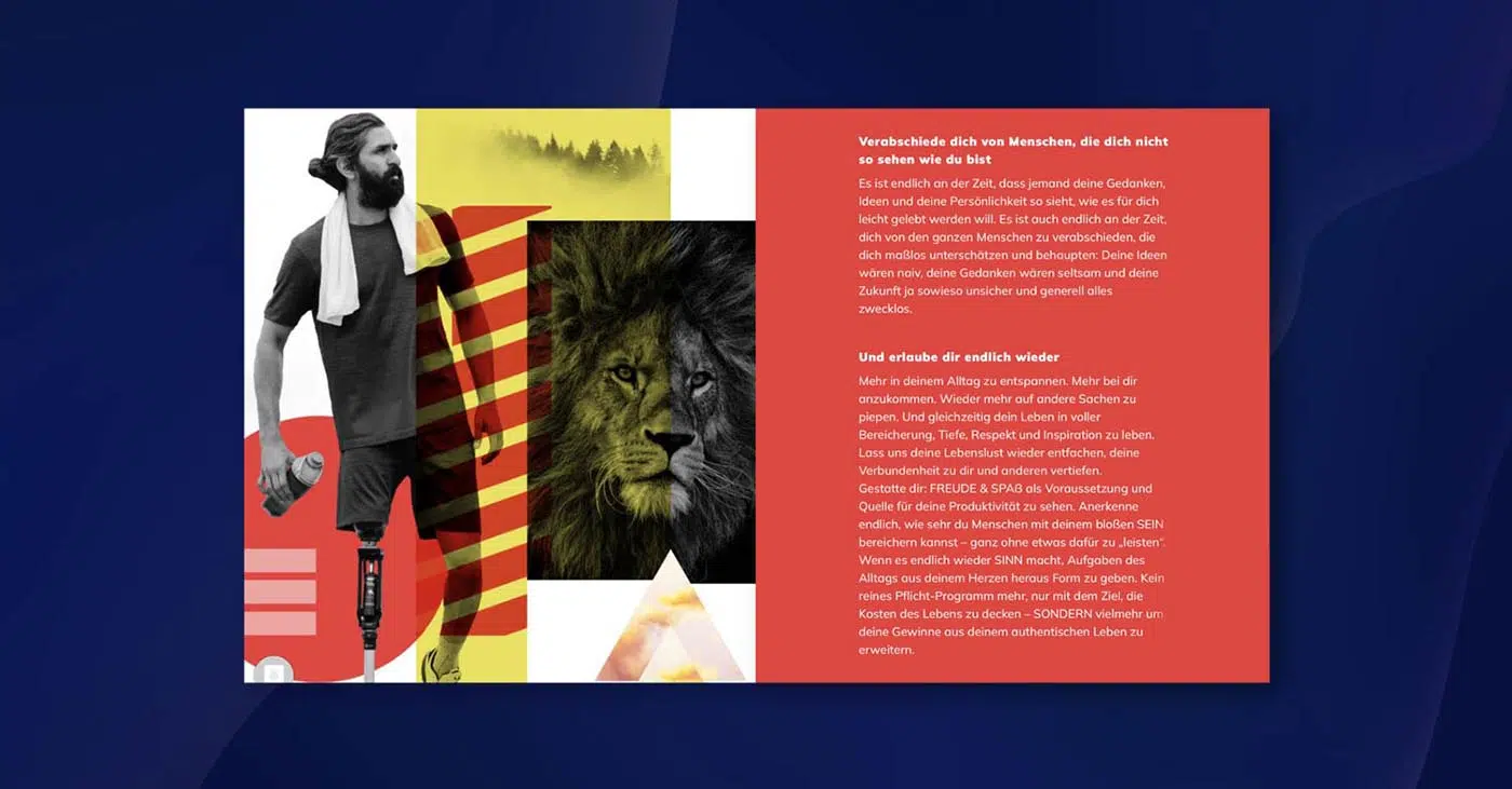 website-neu-gestalten-4