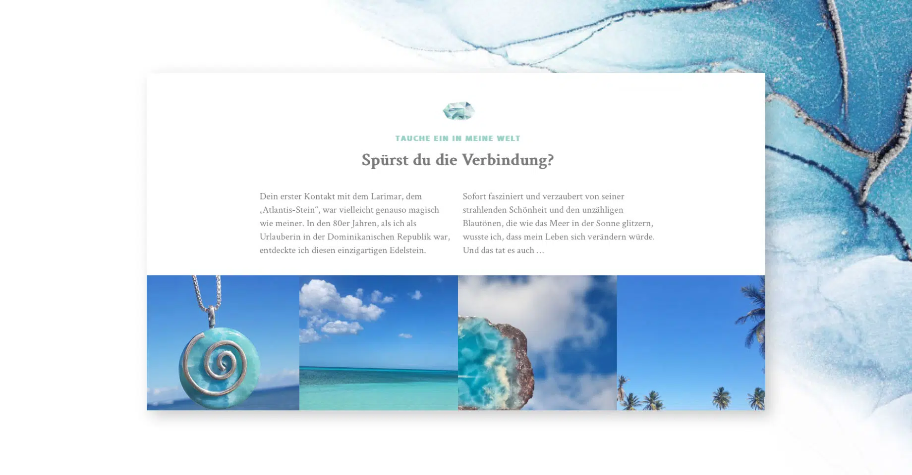 Portfolio_Webdesign_Premium_Branding_04