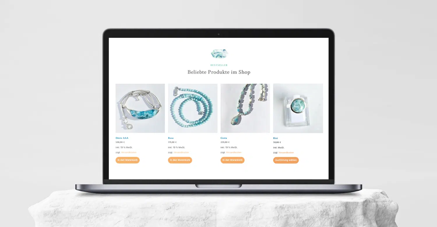 Portfolio_Webdesign_Premium_Branding_11