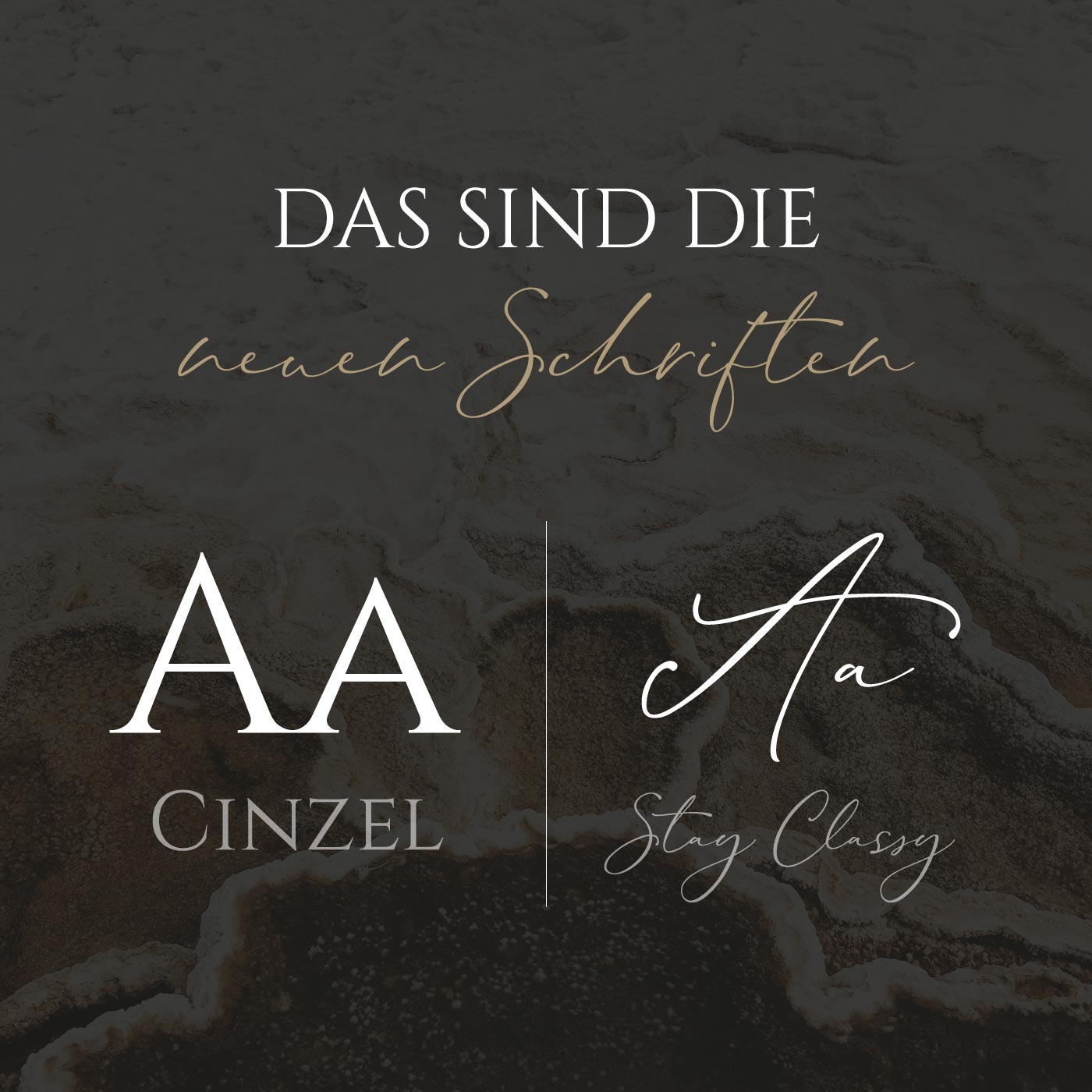 211005_Brandstory_Nina_Schnitzenbaumer_06